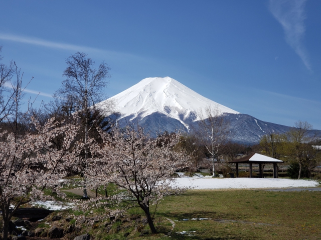 今、富士北麓はとてもいい季節になりました。

県外の方は、今年は出かけられないと思いますので、写真でお楽しみください。
