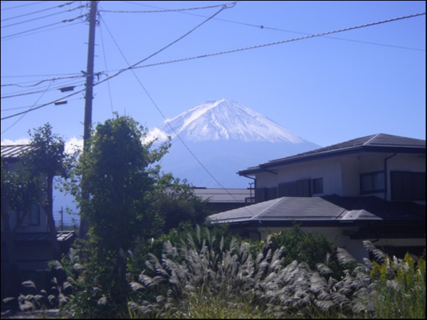 河口湖畔近くの富士山が見える土地を購入していただき、弊社で敷地整備